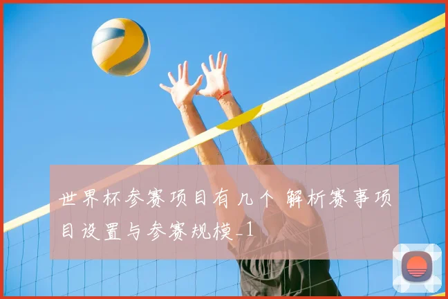世界杯参赛项目有几个 解析赛事项目设置与参赛规模_1