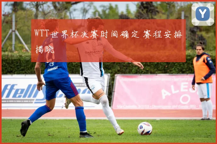 WTT世界杯决赛时间确定 赛程安排揭晓